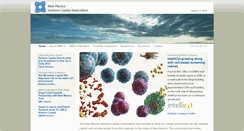 Desktop Screenshot of nmvca.org